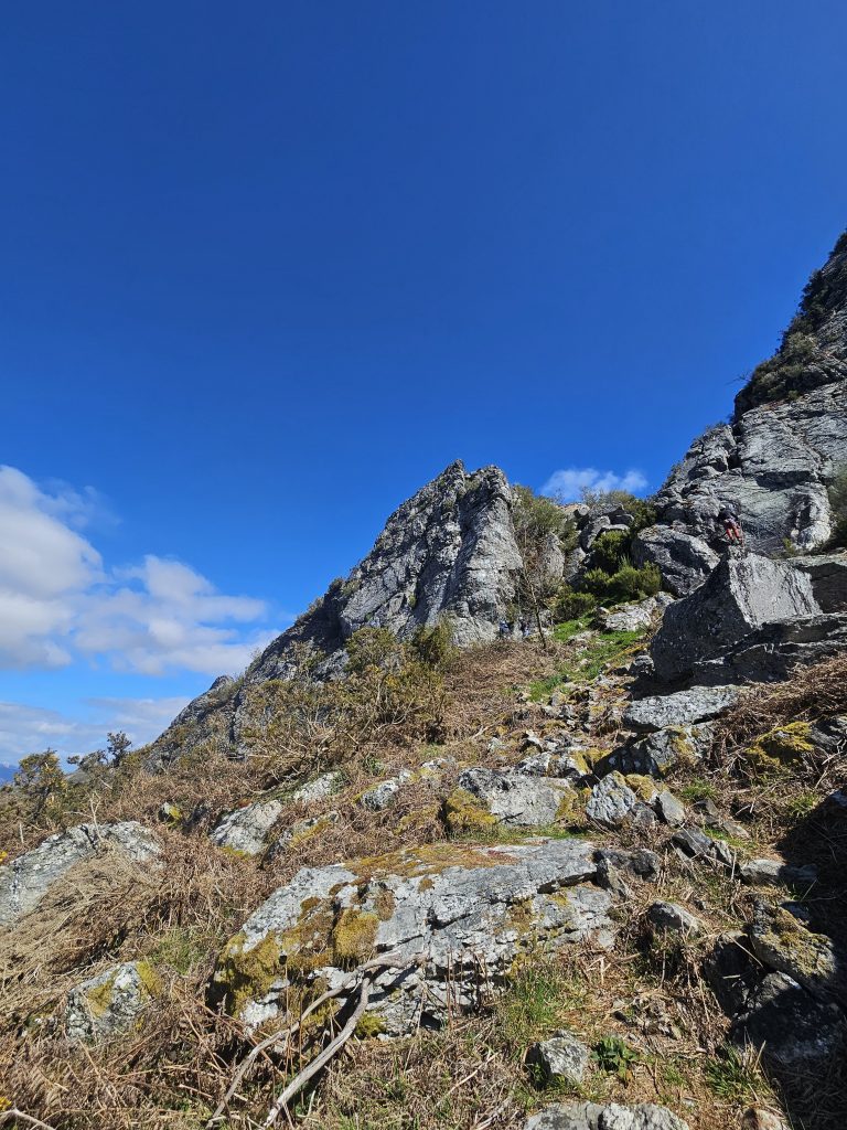 Senderos 20250329 123655 768x1024