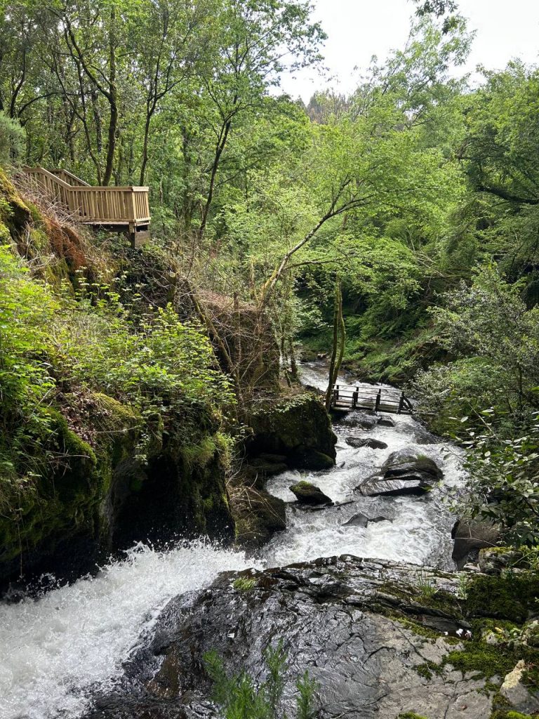 img 20250715 004635 822