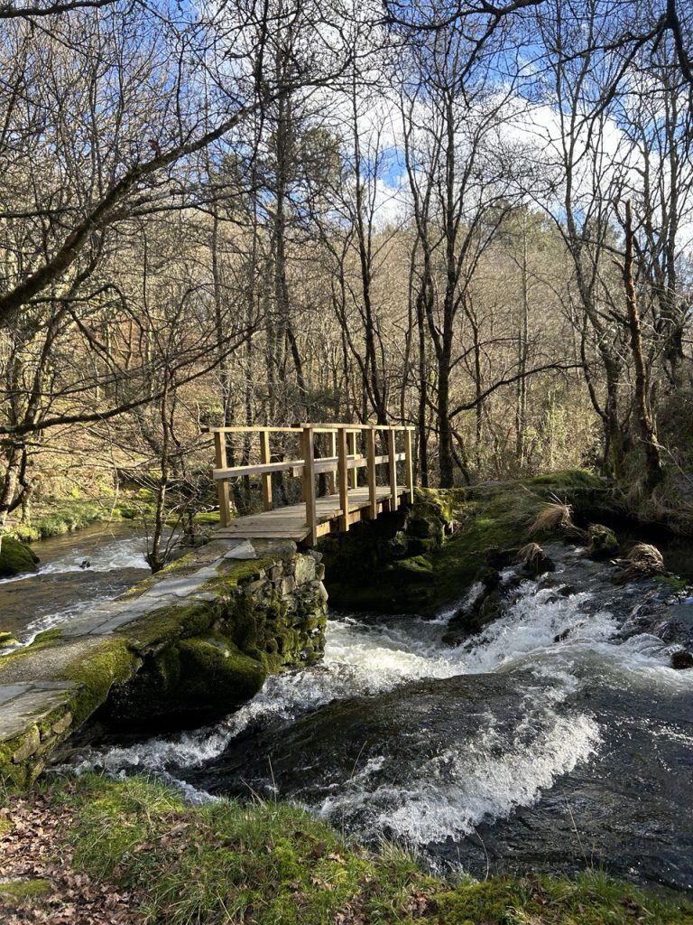 img 20250715 005537 731