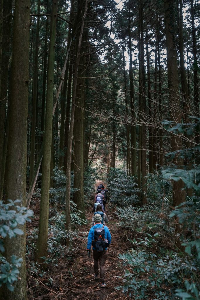 a-group-of-people-hiking-through-a-forest-mdsgc0p-edk