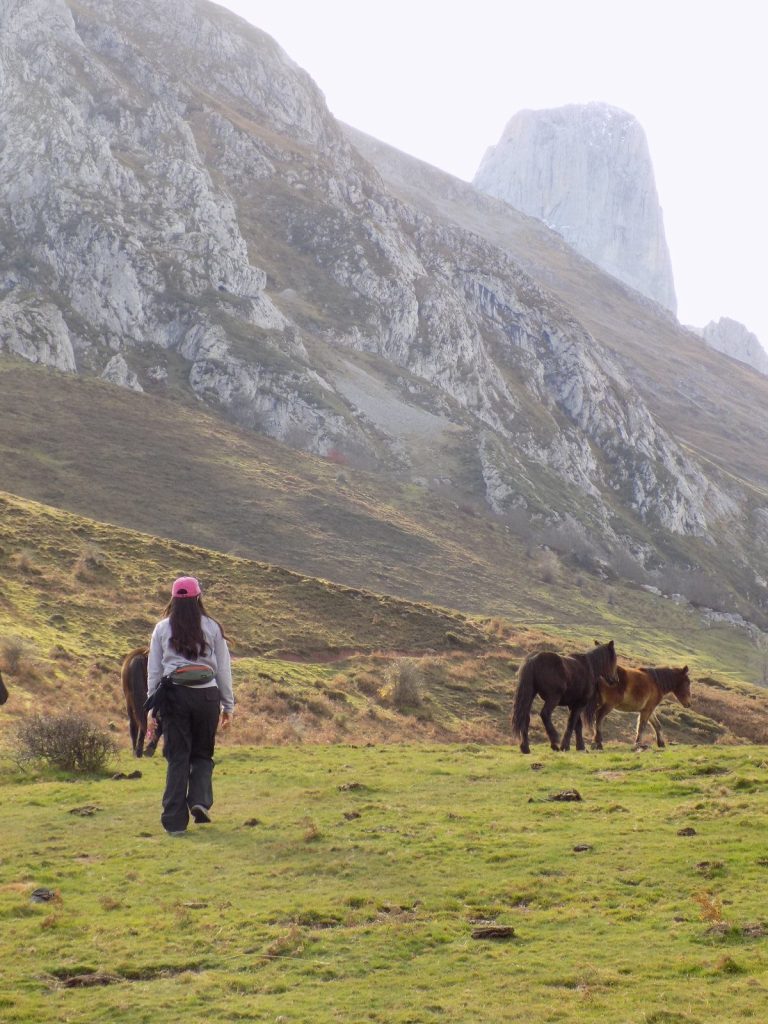 Senderos DSCN0627 Edited 768x1024