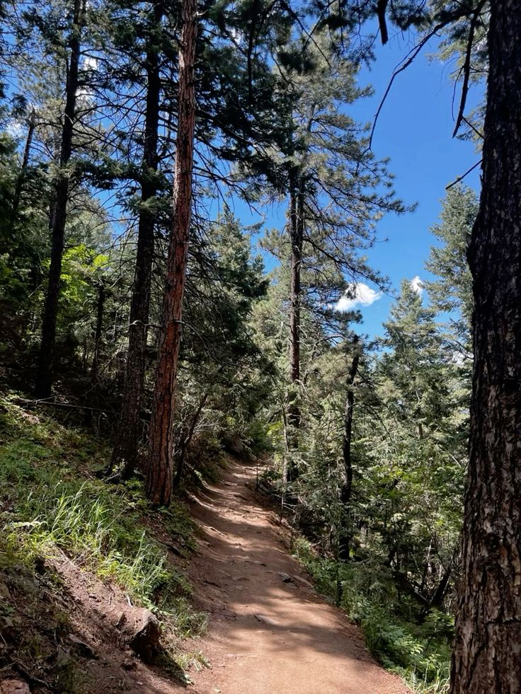 1852ce1b3b7bc1b37310d853fbc28960