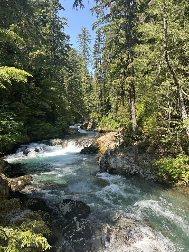 2b1f1af802baa495c63e00d8bb7abca1