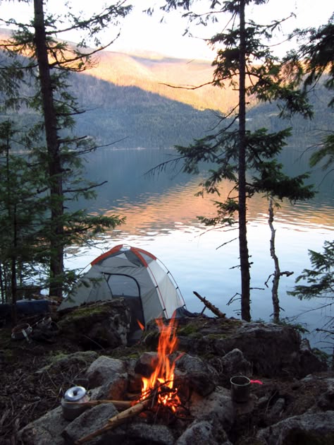 4426ed853181a5c0de3a6e86ddb0dfcc